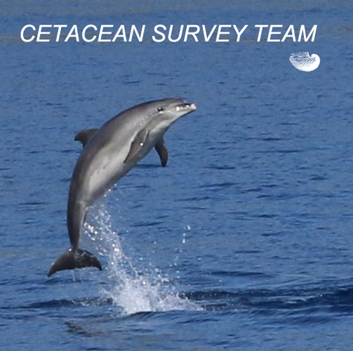 SURVEY TEAM FRONT